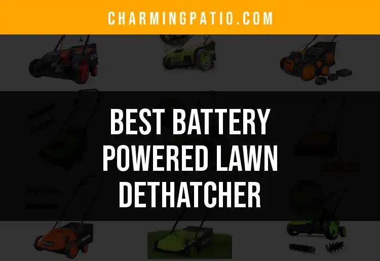 17 Best Battery Powered Lawn Dethatchers for Pristine Lawns
