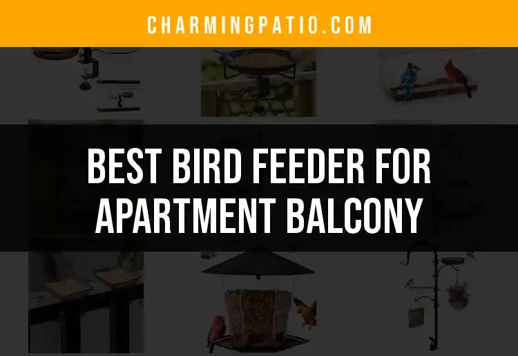 12 Best Bird Feeders for Your Apartment Balcony