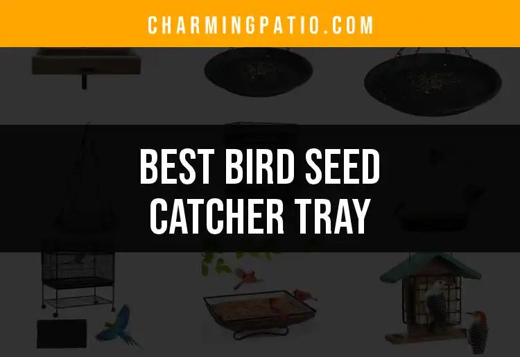 10 Best Bird Seed Catcher Tray Options for a Tidy Garden