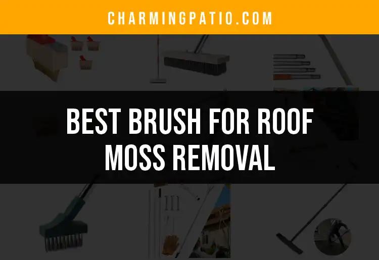 15 Best Brushes For Roof Moss Removal To Simplify Your Clean