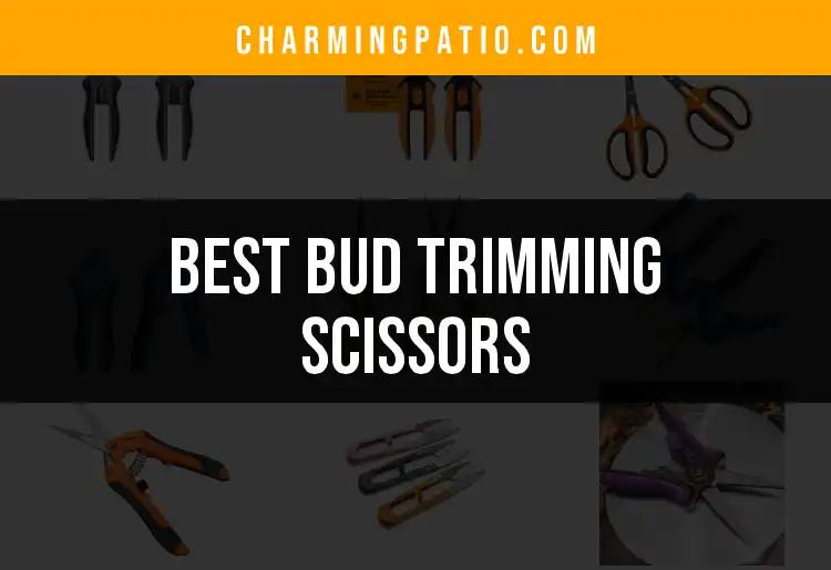 12 Best Bud Trimming Scissors for Your Garden Needs