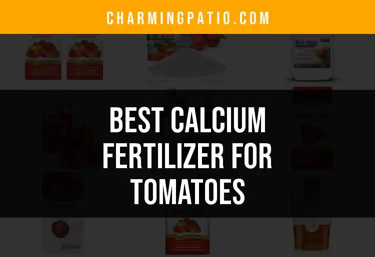 14 Best Calcium Fertilizers For Lush Tomato Growth