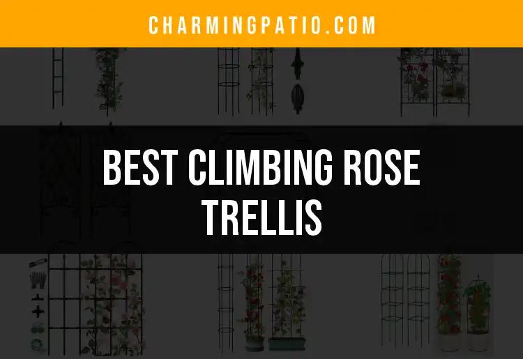 13 Best Climbing Rose Trellis Options for Your Garden