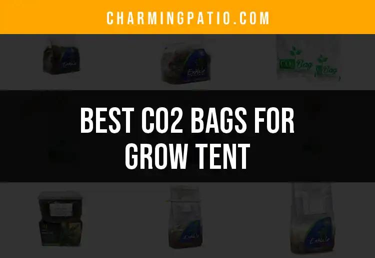 10 Best CO2 Bags for Your Grow Tent Essentials