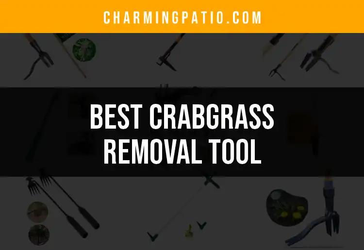 15 Best Crabgrass Removal Tools for a Lush Lawn