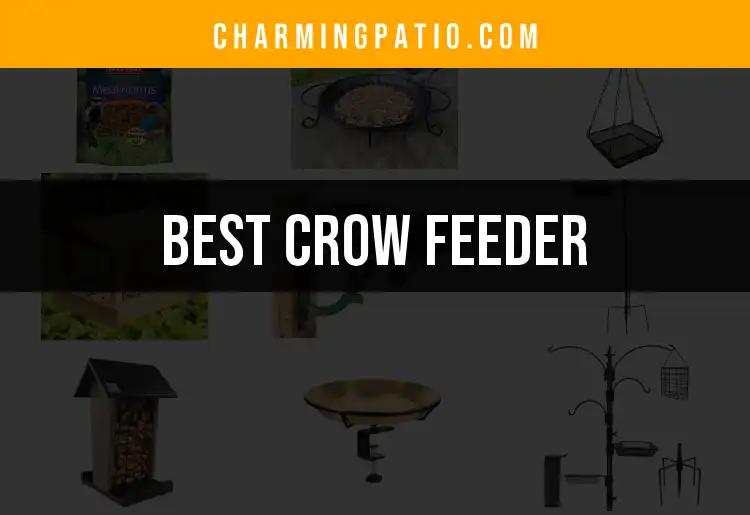11 Best Crow Feeders for a Happy Backyard Garden