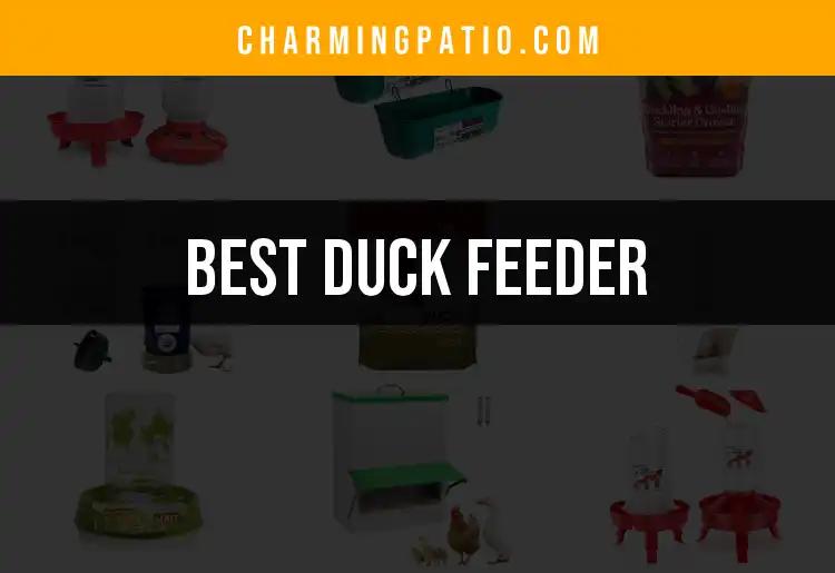 13 Best Duck Feeders for Happy, Healthy Ducks