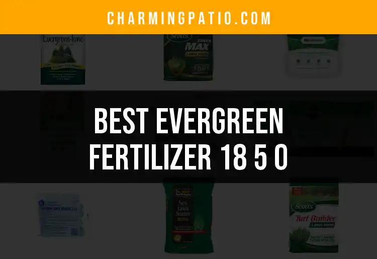 13 Best Evergreen Fertilizer 18 5 0 Options for Thriving Gardens