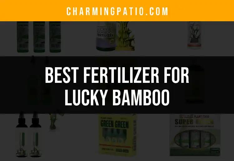 12 Best Fertilizers For Lucky Bamboo Revealed