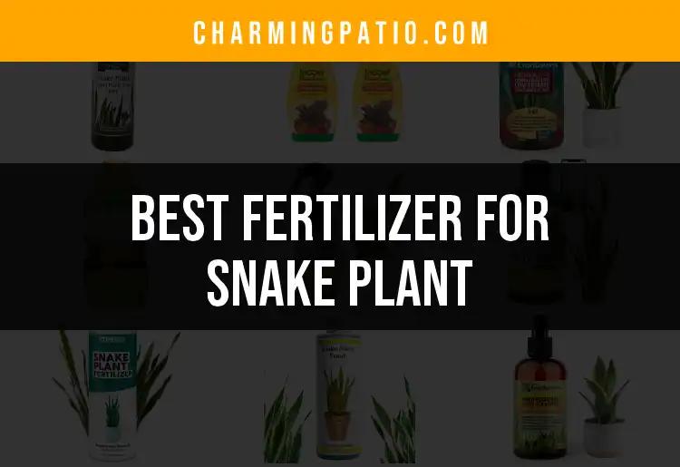 13 Best Fertilizers for Snake Plant Growth and Vibrance