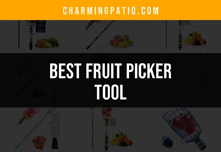 12 Best Fruit Picker Tools for Effortless Harvesting
