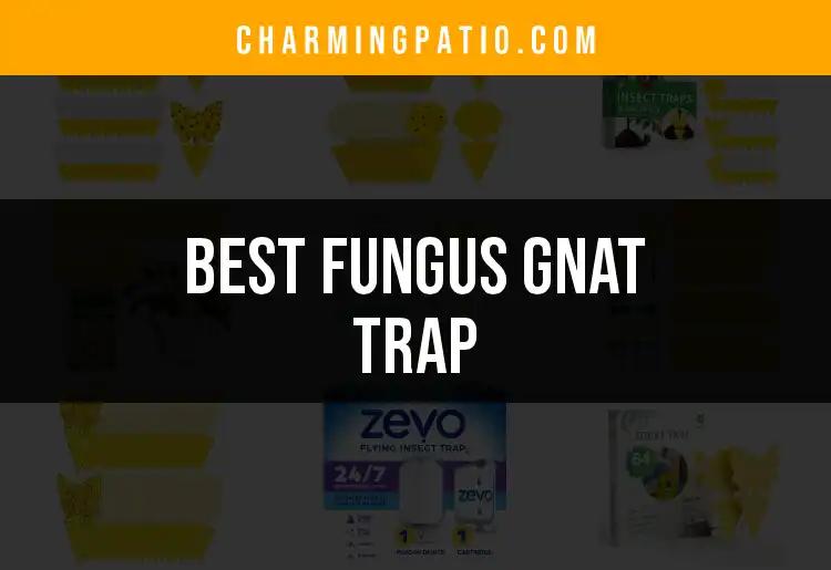 13 Best Fungus Gnat Traps for Your Yard and Garden