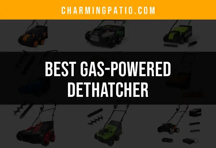 13 Best Gas-Powered Dethatchers for a Lush Lawn