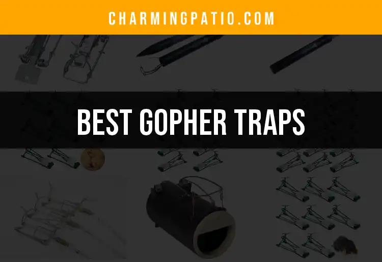 13 Best Gopher Traps for a Pest-Free Garden
