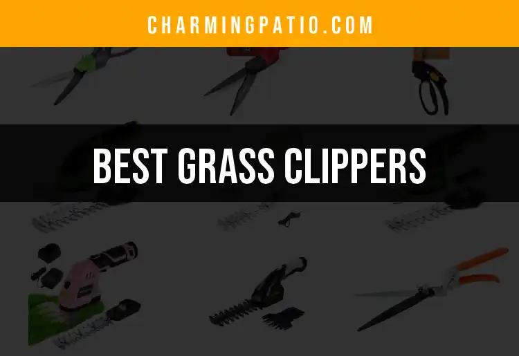 13 Best Grass Clippers for a Perfectly Trimmed Lawn
