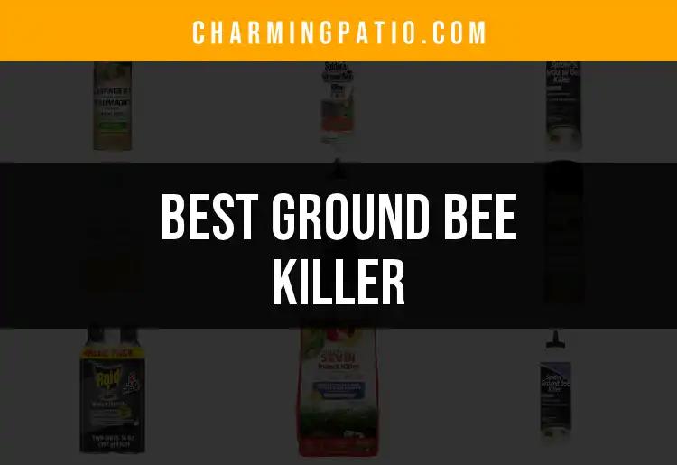 18 Best Ground Bee Killers for a Buzz-Free Yard