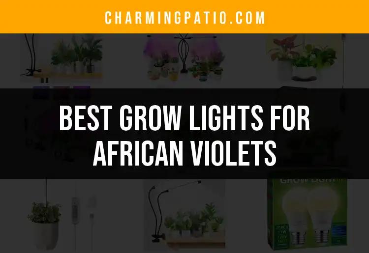 13 Best Grow Lights For African Violets To Brighten Your Space