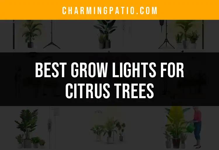 15 Best Grow Lights for Citrus Trees That Shine Bright