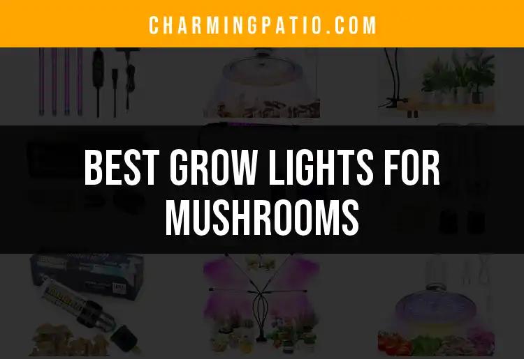 16 Best Grow Lights for Mushrooms You Need to Consider