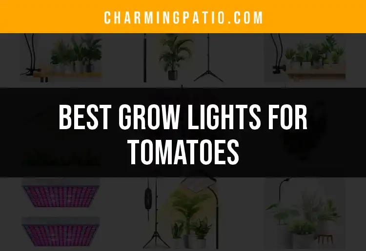 18 Best Grow Lights For Tomatoes To Maximize Your Harvest
