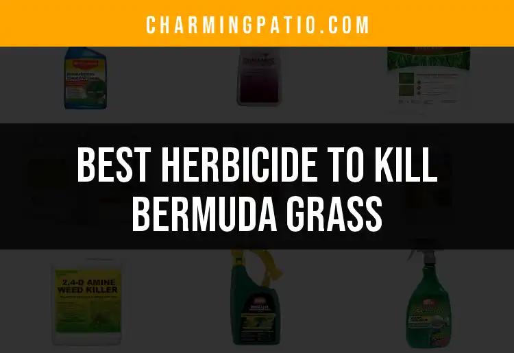 13 Best Herbicides to Kill Bermuda Grass Efficiently