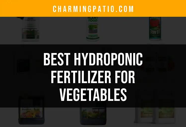 14 Best Hydroponic Fertilizers for Lush Vegetables