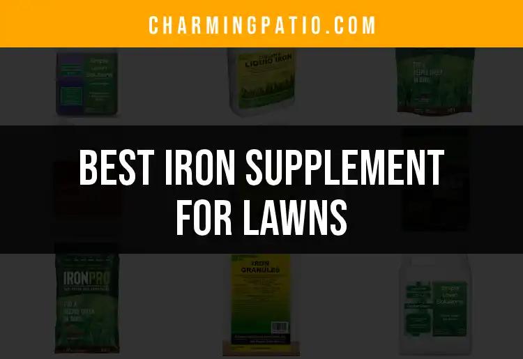 11 Best Iron Supplements For Lush, Green Lawns