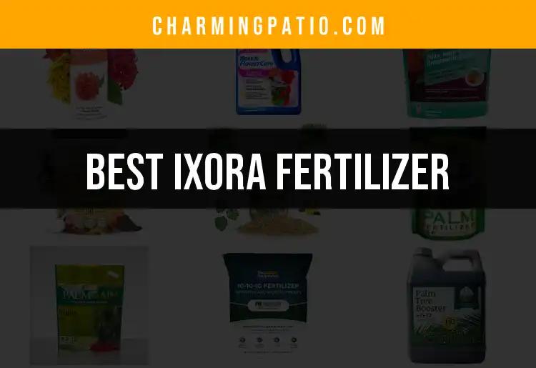 18 Best Ixora Fertilizers For Vibrant Blooms