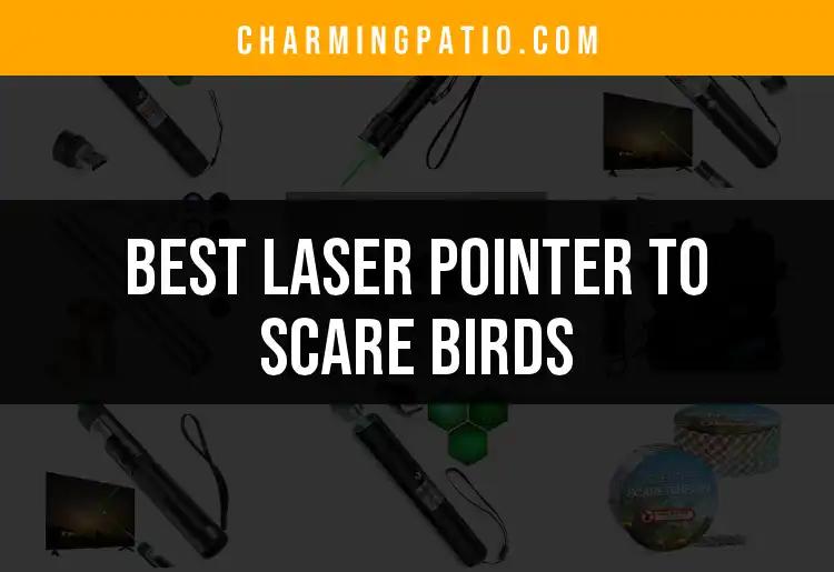 11 Best Laser Pointers to Scare Birds Away Effortlessly