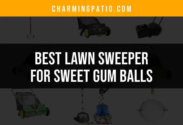 17 Best Lawn Sweepers for Sweet Gum Balls Reviewed