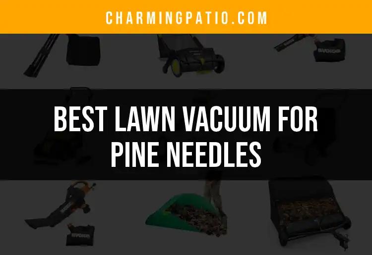 17 Best Lawn Vacuums For Pine Needles You’ll Love