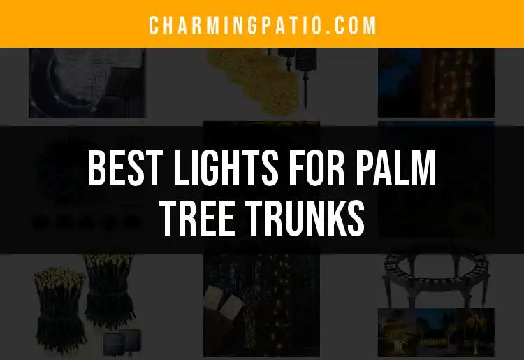 11 Best Lights for Palm Tree Trunks to Brighten Your Oasis