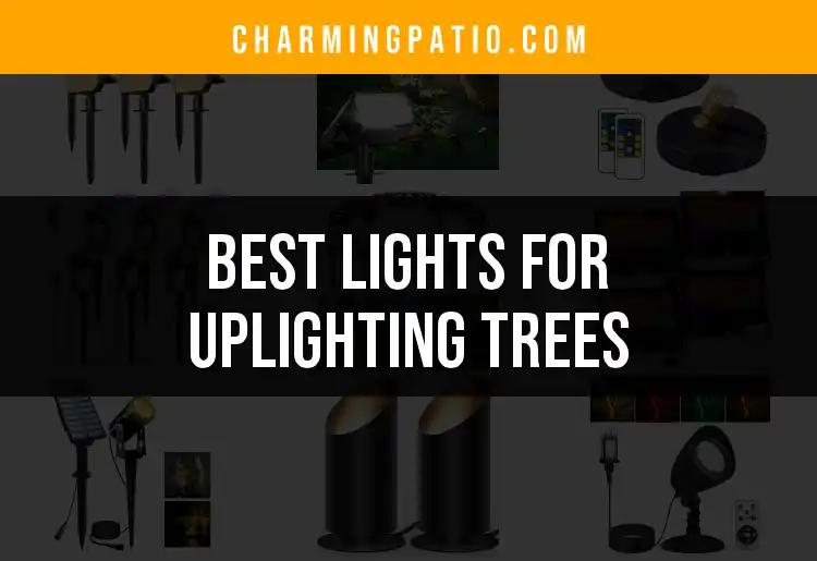 12 Best Lights for Uplighting Trees to Illuminate Your Outdoors