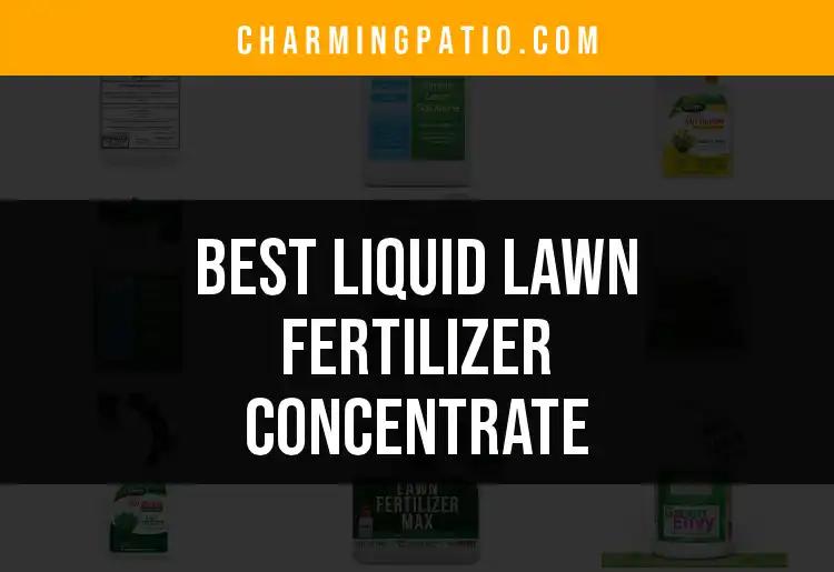15 Best Liquid Lawn Fertilizer Concentrates for Lush Lawns