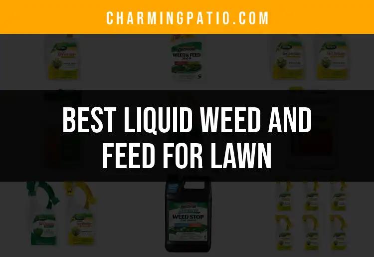 15 Best Liquid Weed and Feed for a Lush Lawn