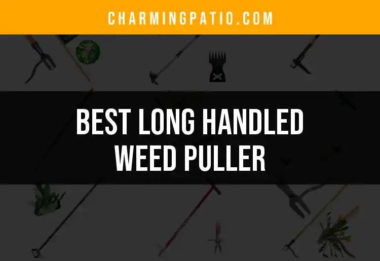 17 Best Long Handled Weed Pullers for Effortless Gardening