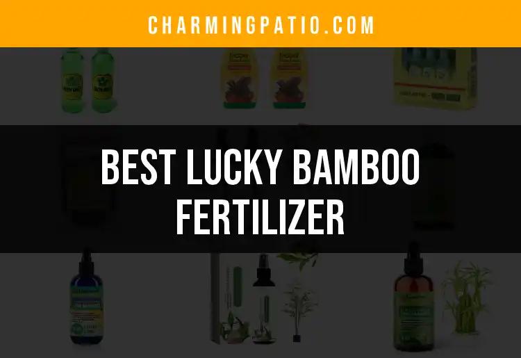 16 Best Lucky Bamboo Fertilizers for Thriving Growth