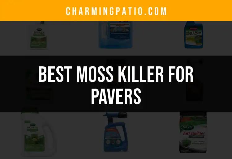 15 Best Moss Killers for Pavers to Revive Your Outdoor Space