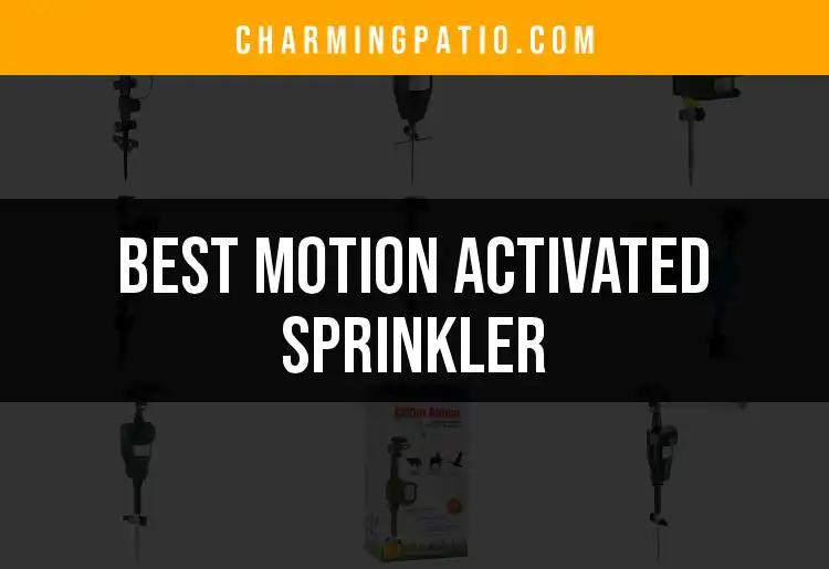16 Best Motion Activated Sprinklers for Effortless Lawn Care