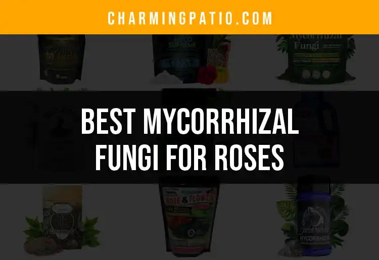 15 Best Mycorrhizal Fungi for Roses to Nourish Your Blooms