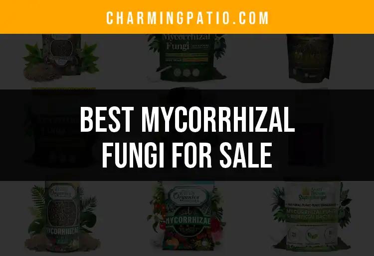 15 Best Mycorrhizal Fungi for Sale for Thriving Gardens