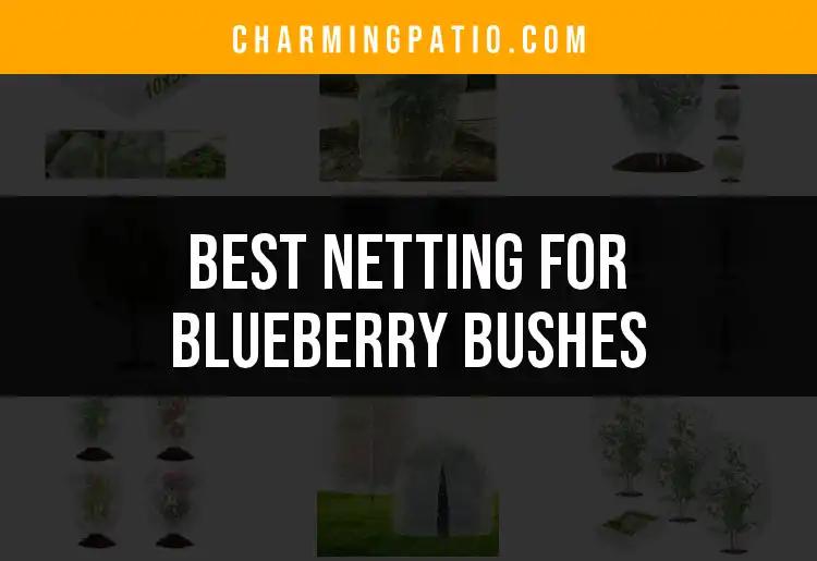 14 Best Netting Options for Blueberry Bushes