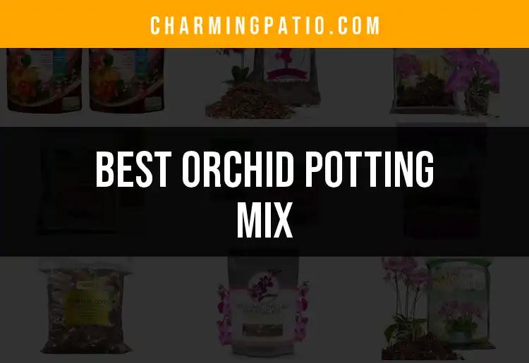 11 Best Orchid Potting Mixes For Thriving Blooms