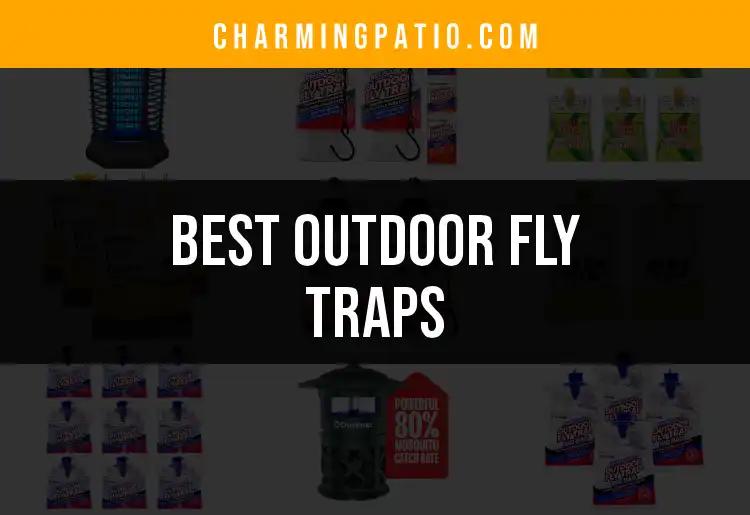 16 Best Outdoor Fly Traps for a Bug-Free Haven