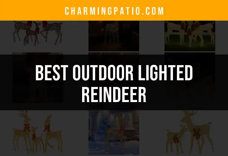 Top 10 Best Outdoor Lighted Reindeer for Your Holiday Décor