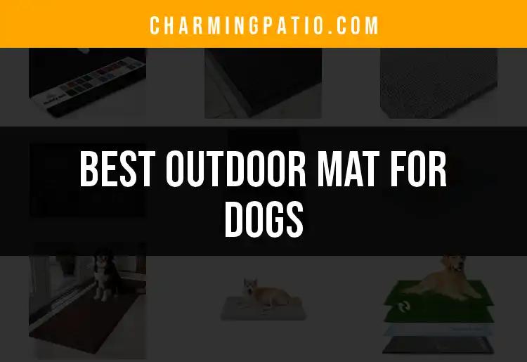 17 Best Outdoor Mats for Dogs to Keep Your Home Clean