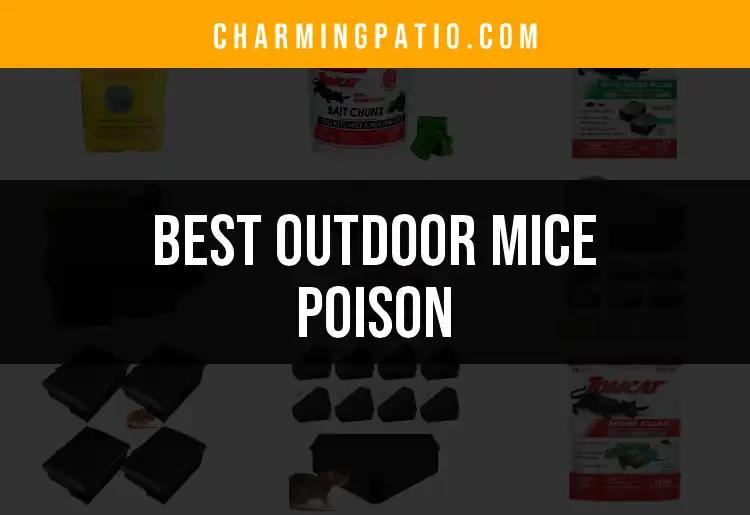 19 Best Outdoor Mice Poison Options for Your Garden