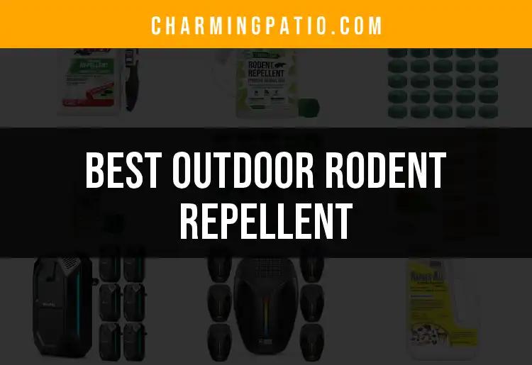 17 Best Outdoor Rodent Repellent Options For Your Garden