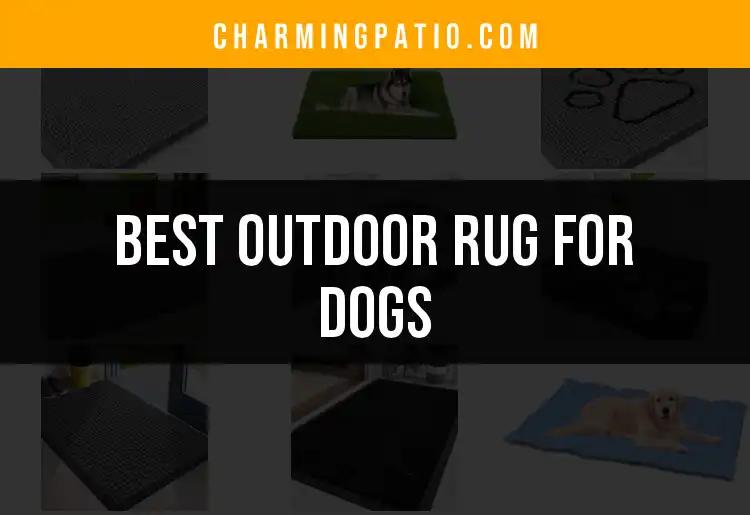 16 Best Outdoor Rugs for Dogs: Comfort Meets Style