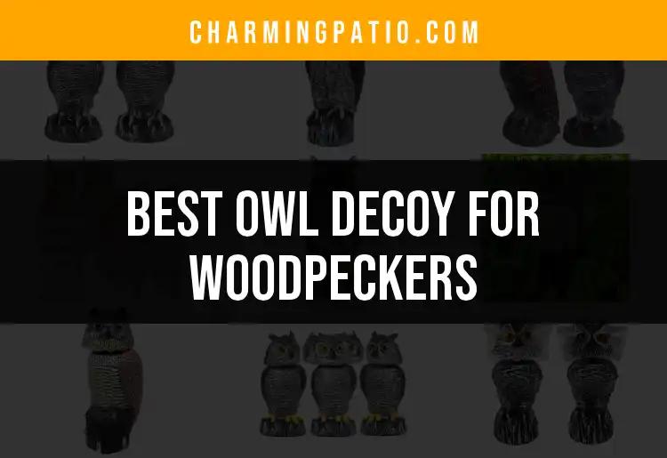 14 Best Owl Decoys for Woodpeckers to Deter Pests